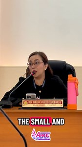 5.3K views · 216 reactions | Back to work para sa Primero Distrito ug sa tibuok probinsya.  This is a portion of my suggestions upon the approval if the creation of the Local Economic Development and Investment Promotions Division. #AmigangAngel 勺 | Angel Amador-Soliva | Facebook