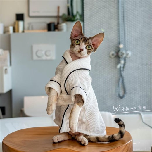 Sphynx Absorbent Cotton Cat Bath Robe, Soft Kitten Towel Wrap, Warm Pet Bathrobe for After Bath, Winter Cat Spa Towel - Etsy