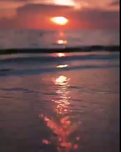 38 reactions | Slow down and take the sunset in  #LiveWell #BeachWell #WestinGrandCayman #WestinResorts #SevenMileBeach #Sunsets : @damien_murphy via Instagram | The Westin Grand Cayman Seven Mile Beach Resort & Spa | Facebook