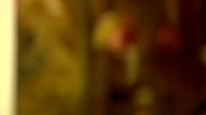 Circa 2010s Examples Good Insulation Used: стоковое видео (без лицензионных платежей), 7110820 | Shutterstock