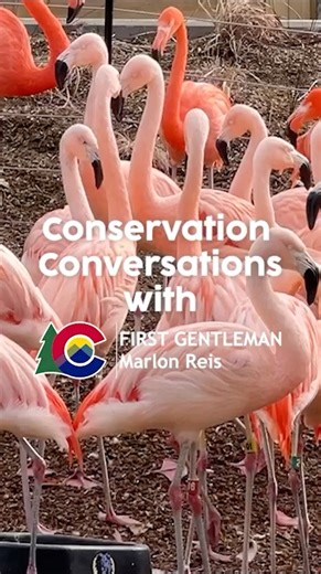 4.7K views · 70 reactions | Watch the continuation of "Conservation...