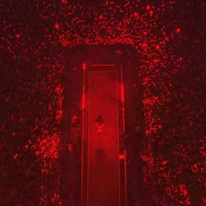 Just Announced ! Billie Eilish is bringing HIT ME HARD AND SOFT: THE TOUR to PPG Paints Arena on October 13 📍 | Live Nation Pittsburgh