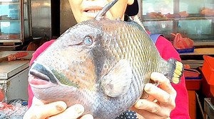 Korean Street Food Niger Triggerfish Scale Removal and Cleaning | Congreso Internacional