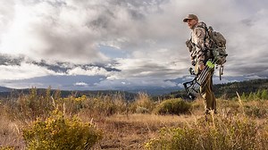 Bone Collector Season 17  