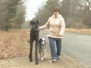 Zeus, le chien le plus grand du monde, est mort