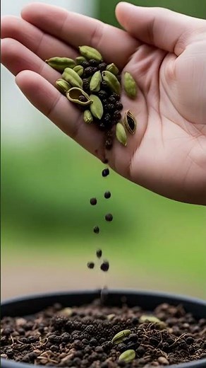 Grow Cardamom at Home? Yes! Here’s How 🌿
