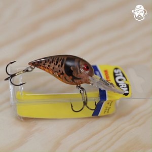 14K views · 134 reactions | This is the Storm Wiggle Wart:...