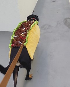 Reno Wilson on Reels | Facebook