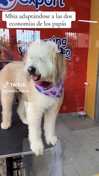 Juaniss✨ on TikTok