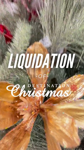 We have all the florals and decorations from our Destination Christmas store to make your decoration a beautiful one! Come visit us for affordable decors!🎄 #airdrie #calgary #shoplocal #smallbusiness #giftideas #winter #giftseason #gifts #holidayseason #holidays #holidayshopping #christmas #christmasiscoming #holidayspirit #christmasdecor2023 #DestinationChristmas #ChristmasFlorals | The Store Upstairs Boutique