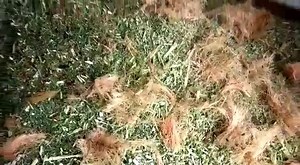 1.5K views · 63 shares | New J-teck lanka gampola on Reels | Facebook