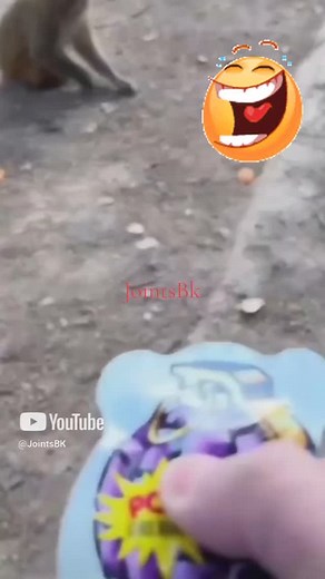 #conyaso#jointsbk #dropkitty | Edward Ortiz