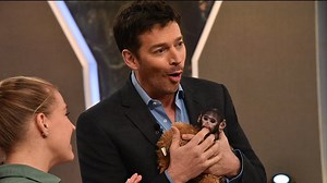 Find out what happens when Harry meets a baby kangaroo, bear cub and monkey! | Harry Connick Jr