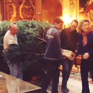It's all about Christmas today in the Highclere Castle offices, as we prepare for our Christmas Fair and decide on decorations. Here is a #tbt to last Christmas and the team getting the 19ft Christmas tree into the main Saloon! #41sleepstogo #Christmas2014 #HighclereCastle | Highclere Castle