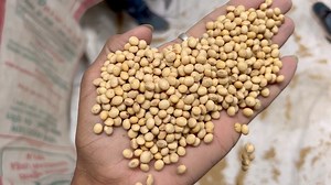 5.5K views · 151 reactions | Prince Patidar Ujjain on Reels | Facebook