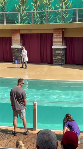 Be part of the trainor for Clyde. #Spotlight #interactivepart #sealionshow #seaworld | Travisandcousins