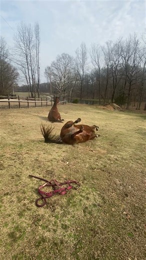 Hot an Sweaty rides require an extra long roll and shake