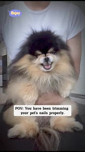 10K views · 60 reactions |  How do you usually clean your pet’s nails? #dogs #childhooddog #dogslife #dogslover | Paws & Hearts | Facebook