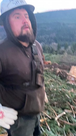 Logging in Mountainous Forests: An Outdoor Journey