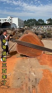 Grandpa said it was three hundred years old. | Yarden Saxophone