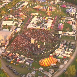 Bearded Theory on Reels