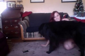 Redhead slut babysitting a dog