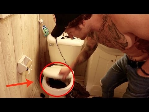 WE FOUND THIS LIVING IN HIS TOILET!!