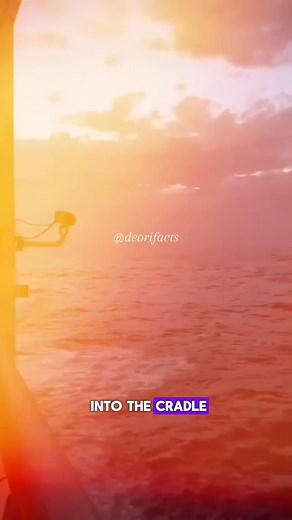 Flip Ship Research Vessel #shorts-001 | Lucille Cornell