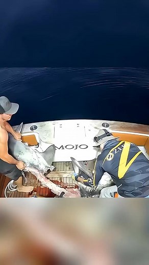 The Half-Eaten Shark Mystery #fishingtips #fish #catchingfish | Teens 2