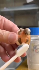 34K views · 404 reactions |  | Great Memes | Facebook