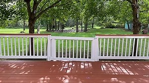 FolkArt Curly Tree Painting Stencil, 30610