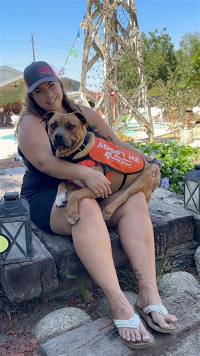 13K views · 127 reactions | Dog Day Out with Dale!! Sweet Dale had...