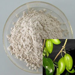 [Hot Item] Natural Griffonia Simplicifolia Seed Extract 5-Hydroxytryptophan/ 5-Htp