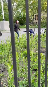 #NYShitty; Clash at #McCarrenPark: Tensions flare on #ManhattanAvenue in #Greenpoint, #Brooklyn, as a video captures a seemingly intoxicated man in a tussle with alleged migrants. Fortunately, no one was hurt thanks to bystanders who quickly intervened to break up the altercation, maintaining peace with minimal fuss. Via @ontodaysnewyorkshitty / @otnysnews for more! | The Myxs | Facebook