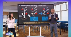 La nutrition des végétaux