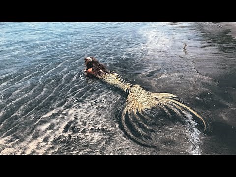 10 REAL LIFE MERMAIDS Caught On Camera