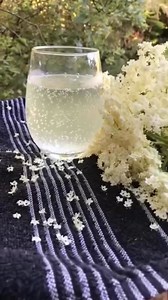 These beauties are Elder flowers 😍🥂🎉🍃(Sambucus nigra) #herbalremedies #celebration #gardening #foraging #survival #traditional | Prepper Kiwi