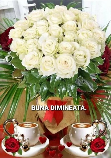 Trandafirul Galben on Reels