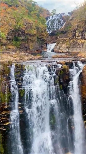 Brb, booking my flight to Brazil ✈️ #CaratadosCouros #Brazil #Travel