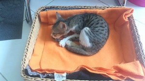 35 reactions · 3 comments | That's one FAT belly Peanut | 38smiles | Facebook