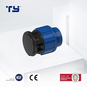 [Hot Item] PP POM PVC CPVC Plastic Irrigation Fittings Compression Fittings of Manufacturing Plug