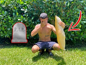 21K views · 770 reactions | My ARAPIMA Killed My AROWANA! | Blake's Exotic Animal Ranch | Facebook