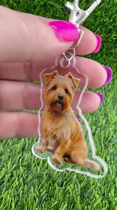 Norfolk Terrier Dog Keychain - Etsy