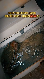 68 reactions | How to clean sand filled crab rooms呂呂??? . . . SIMPLE Move the sand to one side. Then remove outlet tube Allows that water to flow out  . . . . #reelsinstagram #reelitfeelit #reelsindia #reelskarofeelkaro #reelsvideo #reelsviral #malayalamcrabfarming #crabfattening #keralacrabfattening #keralacrabfarm | Rakhi Prabhul | Facebook