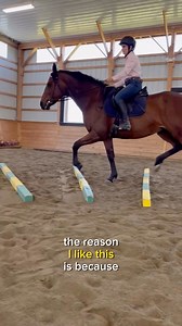 2.1K views · 286 reactions | One of my favorite exercises for setting up poles! This is exercise #42 of 67 Exercises for Horse & Rider in my book Stay in the Saddle! • • • #rider #riders #horseriding #horseriding #horseridingclub #horseridingtales #horseridinglessons #ridinghorses #ridinghorses | HorseClass | Facebook