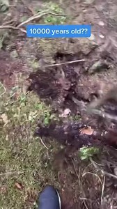 8.9K views · 32 reactions | What a find | Viral Outdoors | Facebook