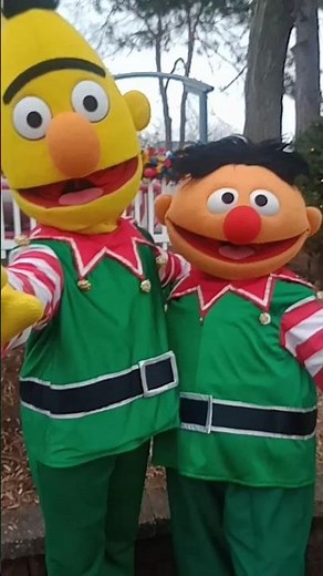 Bert & Ernie showing off their festive holiday outfit🎄⛄ #sesameplace #bert #ernie