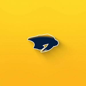 7.3K views · 76 reactions | Headed to overtime  tied at 2 | Nashville Predators | Facebook