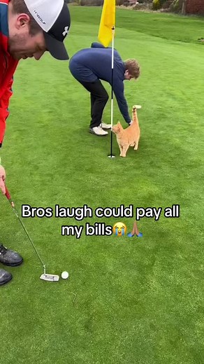 Rich People Laugh Compilation | Funny Billionaire Memes