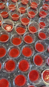 52 reactions | تقديم 2000 فروته  كل كوب كان بمستوى يليق بذوقكم  | La Taza cafe | Facebook